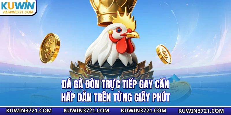 Đá gà đòn