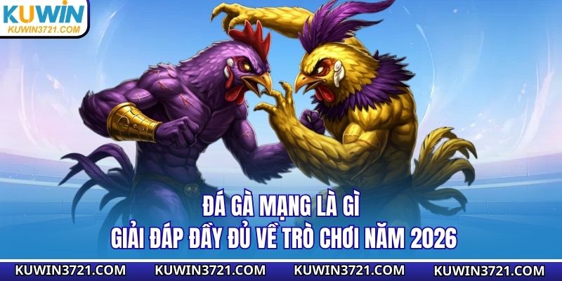 Đá gà mạng
