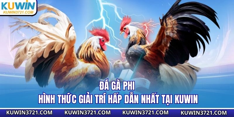đá gà phi