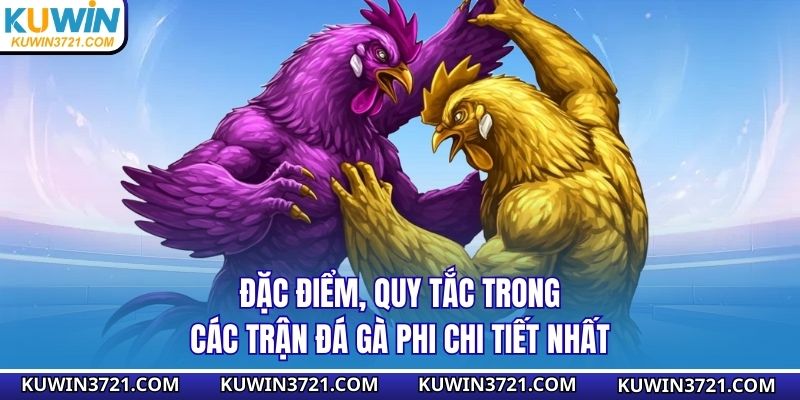 Đặc điểm, quy tắc trong các trận đá gà Phi chi tiết nhất