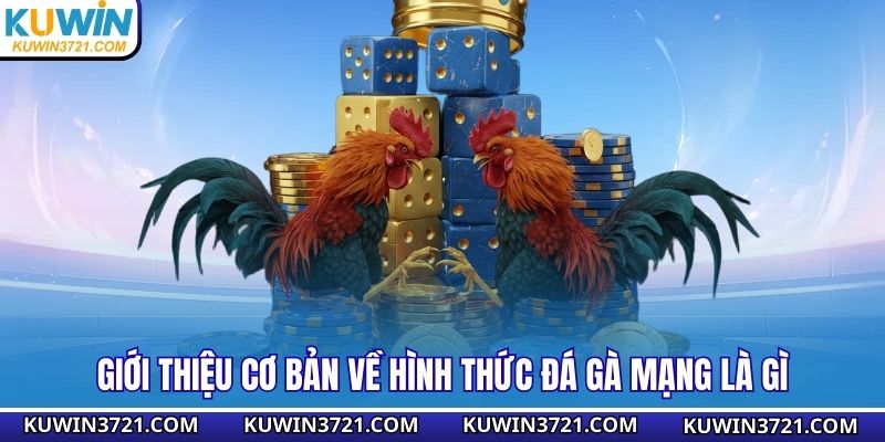 Giới thiệu cơ bản về hình thức đá gà mạng là gì
