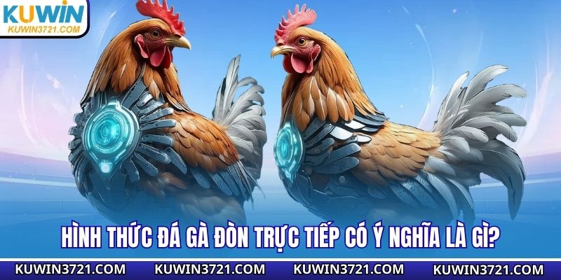 Hình thức đá gà đòn trực tiếp có ý nghĩa là gì?
