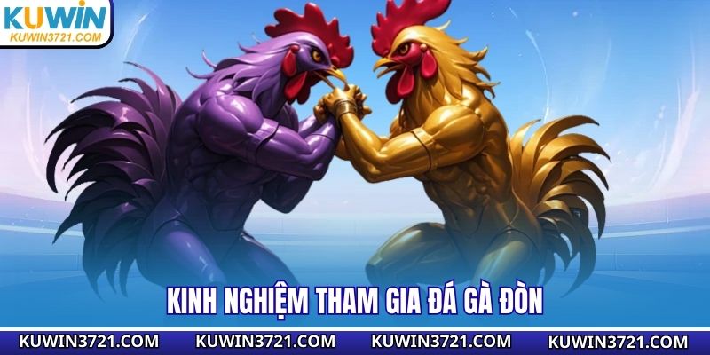 Kinh nghiệm tham gia đá gà đòn 