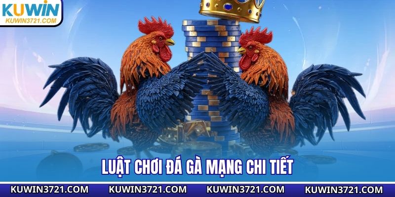 Luật chơi đá gà mạng chi tiết