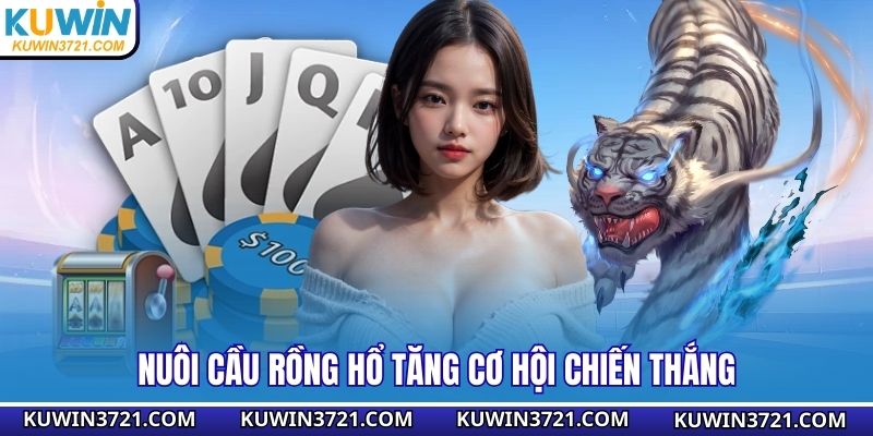 Nuôi cầu rồng hổ tăng cơ hội chiến thắng