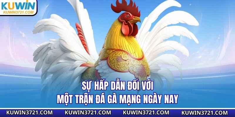 Sự hấp dẫn đối với một trận đá gà mạng ngày nay