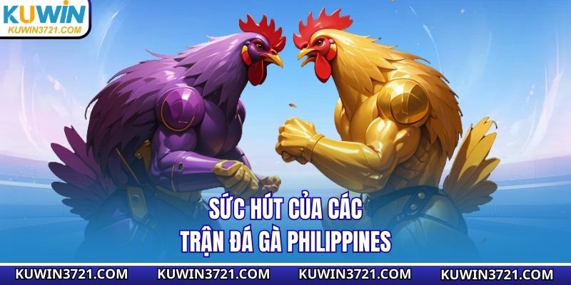 Sức hút của các trận đá gà Philippines