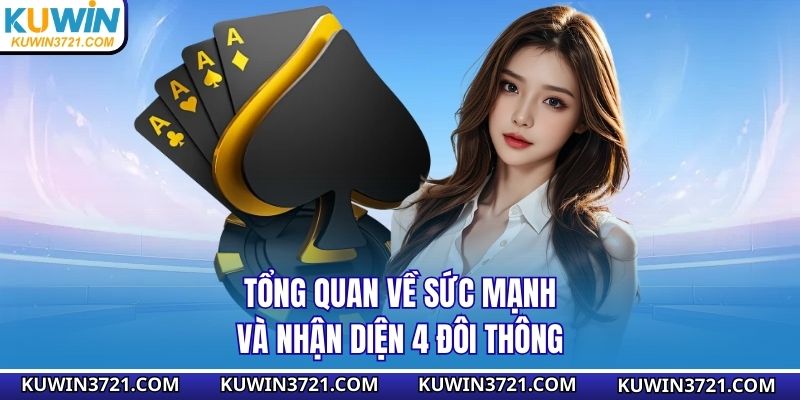 Tổng quan về sức mạnh và nhận diện 4 đôi thông