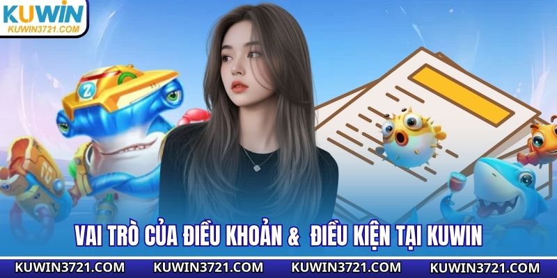 Vai trò của điều khoản &  điều kiện tại Kuwin